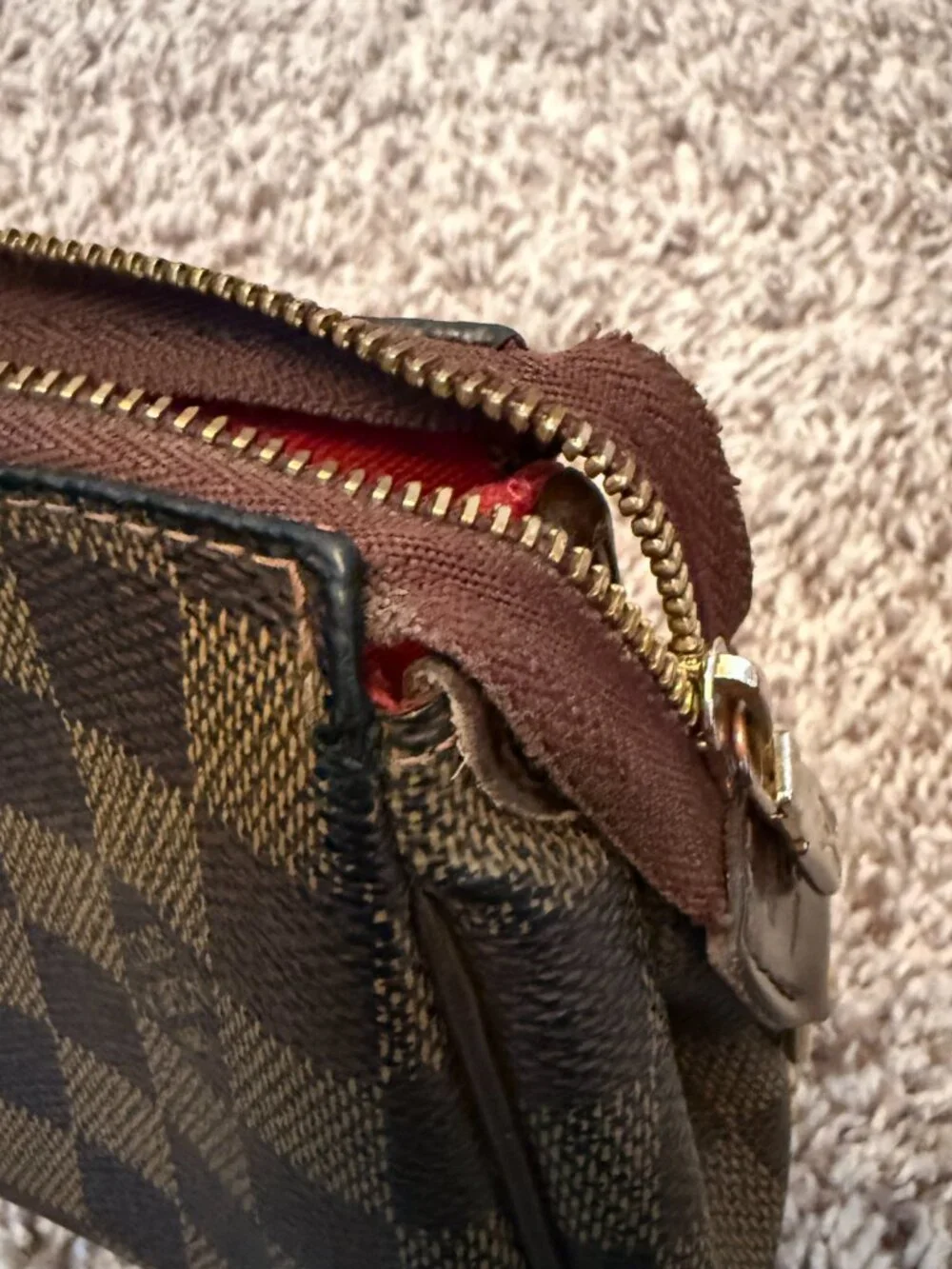 Louis Vuitton authentic louis